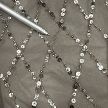 Load image into Gallery viewer, Adrianna Papell Beaded Mesh Evening Gown Gray Size 4 Formal Dress