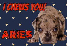 Load image into Gallery viewer, Paw-O-Gram Valentines