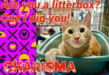 Load image into Gallery viewer, Paw-O-Gram Valentines