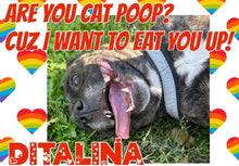 Load image into Gallery viewer, Paw-O-Gram Valentines