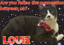 Load image into Gallery viewer, Paw-O-Gram Valentines