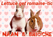 Load image into Gallery viewer, Paw-O-Gram Valentines