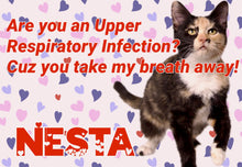 Load image into Gallery viewer, Paw-O-Gram Valentines