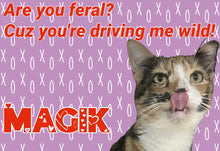 Load image into Gallery viewer, Paw-O-Gram Valentines