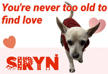 Load image into Gallery viewer, Paw-O-Gram Valentines
