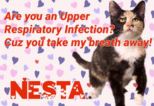 Load image into Gallery viewer, Paw-O-Gram Valentines