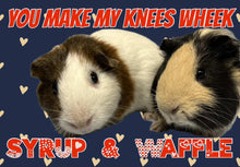 Load image into Gallery viewer, Paw-O-Gram Valentines