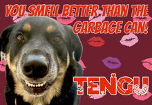 Load image into Gallery viewer, Paw-O-Gram Valentines