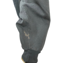 Load image into Gallery viewer, Alien Ant Farm Vintage Hoodie Large Anthology Black Jerzees Rare