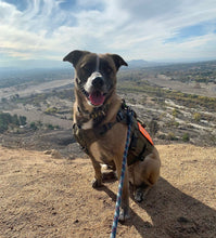 Load image into Gallery viewer, Hikes and Hugs for Solstice