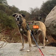 Load image into Gallery viewer, Hikes and Hugs for Solstice