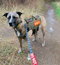 Load image into Gallery viewer, Hikes and Hugs for Solstice