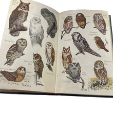Load image into Gallery viewer, Audubon Bird Guide Eastern Land Birds by Richard H Pough1st Edition 1946
