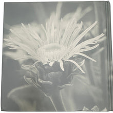 Load image into Gallery viewer, Rosemary Gladstar’s Family Herbal:  Life with Energy Health Vitality Book HB
