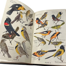 Load image into Gallery viewer, Audubon Bird Guide Eastern Land Birds by Richard H Pough1st Edition 1946
