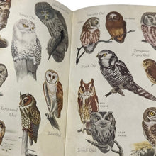 Load image into Gallery viewer, Audubon Bird Guide Eastern Land Birds Richard H Pough First Edition 1946 HC
