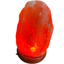 Load image into Gallery viewer, Earthbound Himalayan Salt Lamp 5” USB LED Color Changing #17073
