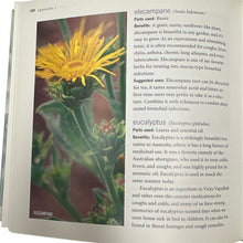 Load image into Gallery viewer, Rosemary Gladstar’s Family Herbal:  Life with Energy Health Vitality Book HB
