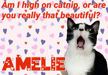 Load image into Gallery viewer, Paw-O-Gram Valentines
