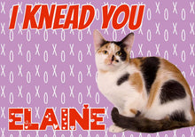 Load image into Gallery viewer, Paw-O-Gram Valentines
