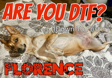 Load image into Gallery viewer, Paw-O-Gram Valentines
