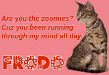 Load image into Gallery viewer, Paw-O-Gram Valentines

