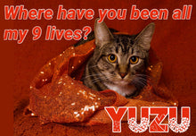 Load image into Gallery viewer, Paw-O-Gram Valentines
