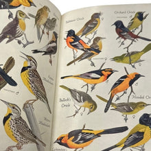 Load image into Gallery viewer, Audubon Bird Guide Eastern Land Birds Richard H Pough First Edition 1946 HC
